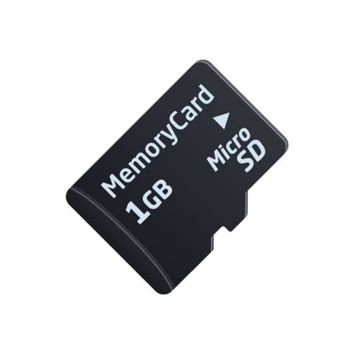 Computer Chip/Programmer - Memory Card