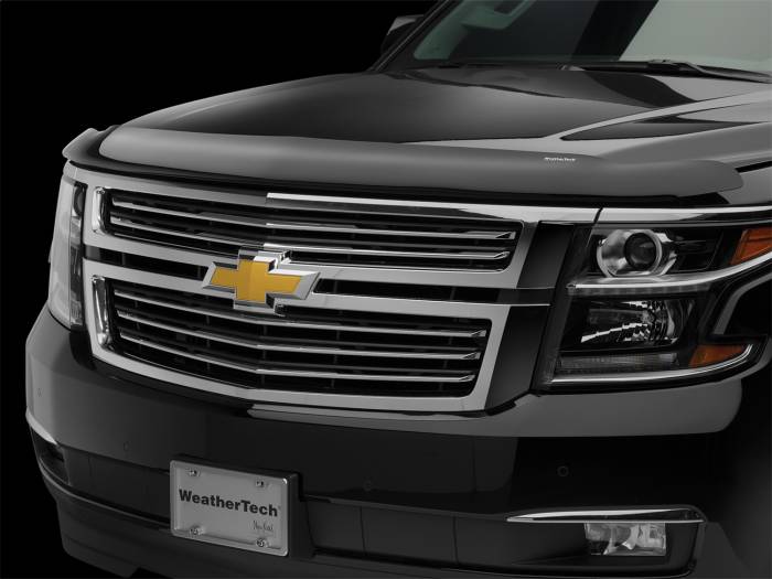 WeatherTech - WeatherTech Stone And Bug Deflector 50222