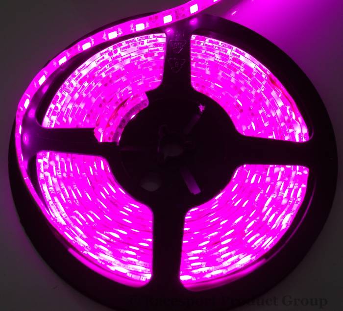 Race Sport - Race Sport 9ft (3M) 3528 LED Strip (Purple) (RS-3528-3MP)