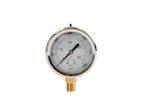 Buyers Product Company - BUYERS PRODUCT COMPANY Silicone Filled Pressure Gauge - Stem Mount 0-3,000 PSI (HPGS3)