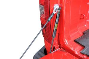 Dee Zee - Dee Zee Tailgate Assist DZ43100 - Image 2
