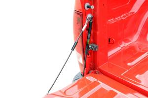 Dee Zee - Dee Zee Tailgate Assist DZ43300 - Image 2